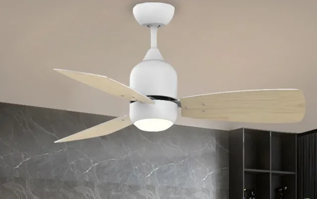 E1017BQ — Plywood blade fan light